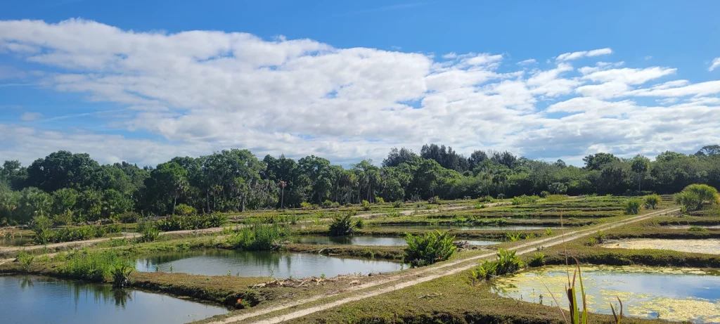 A sunny afternoon view of the Quinn's Fins fish farm